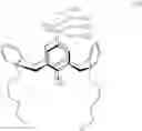 Fig. 07 - NOVEL COMPLEXES FOR THE SEPARATION OF CATIONS