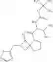 Fig. 19 - Spiro-lactam NMDA receptor modulators and uses thereof