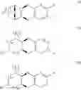 Fig. 04 - NICOTINIC ACETYLCHOLINE RECEPTOR AGONISTS