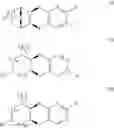 Fig. 07 - NICOTINIC ACETYLCHOLINE RECEPTOR AGONISTS