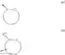 Fig. 04 - Boronic acid derivatives