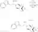 Fig. 58 - Boronic acid derivatives