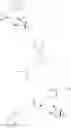 Fig. 60 - Boronic acid derivatives