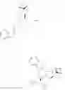 Fig. 54 - Boronic acid derivatives