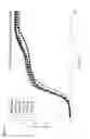 Fig. 15 - Heparin-binding cationic peptide self-assembling peptide amphiphiles useful against drug-resistant bacteria