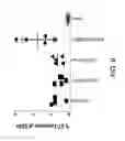 Fig. 09 - HPV vaccines