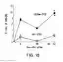 Fig. 29 - HPV vaccines