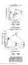 Fig. 30 - HPV vaccines