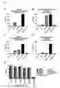 Fig. 58 - ANTI-STAPHYLOCOCCUS AUREUS ANTIBODY COMBINATION PREPARATION