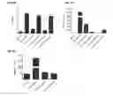 Fig. 09 - Methods and compositions for treating celiac disease
