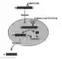 Fig. 01 - Antibodies for the treatment of synucleinopathy