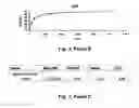 Fig. 13 - Antibodies for the treatment of synucleinopathy