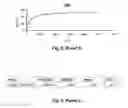 Fig. 17 - Antibodies for the treatment of synucleinopathy