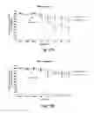 Fig. 34 - Antibodies for the treatment of synucleinopathy