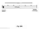Fig. 37 - Antibodies for the treatment of synucleinopathy
