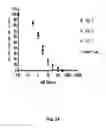 Fig. 44 - Antibodies for the treatment of synucleinopathy