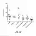 Fig. 09 - NOVEL ASSAY TO DETECT HUMAN PERIOSTIN