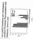 Fig. 04 - Compositions and Methods including a Recombinant Human MAB that Promotes CNS Remyelination