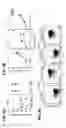 Fig. 06 - Blockade of CD7 expression and chimeric antigen receptors for immunotherapy of T-cell malignancies