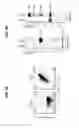 Fig. 14 - Blockade of CD7 expression and chimeric antigen receptors for immunotherapy of T-cell malignancies