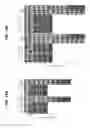 Fig. 20 - Blockade of CD7 expression and chimeric antigen receptors for immunotherapy of T-cell malignancies