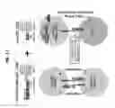 Fig. 24 - Blockade of CD7 expression and chimeric antigen receptors for immunotherapy of T-cell malignancies