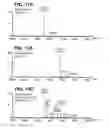 Fig. 22 - Bispecific antibodies
