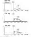 Fig. 23 - Bispecific antibodies