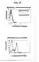 Fig. 48 - Bispecific antibodies
