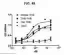 Fig. 61 - Bispecific antibodies