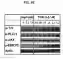 Fig. 62 - Bispecific antibodies