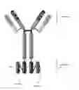 Fig. 01 - TRAILR2 CDH17 binding molecules for the treatment of cancer