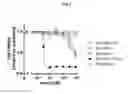 Fig. 07 - TRAILR2 CDH17 binding molecules for the treatment of cancer