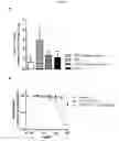 Fig. 08 - TRAILR2 CDH17 binding molecules for the treatment of cancer
