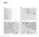 Fig. 04 - Fusion proteins containing a BDNF and an anti-human transferrin receptor antibody