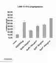Fig. 09 - METHODS AND COMPOSITIONS FOR MODULATING ANGIOGENESIS AND PERICYTE COMPOSITION