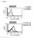 Fig. 18 - TOLL-LIKE RECEPTOR 3 ANTAGONISTS