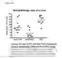 Fig. 23 - TOLL-LIKE RECEPTOR 3 ANTAGONISTS