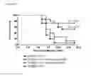Fig. 37 - TOLL-LIKE RECEPTOR 3 ANTAGONISTS