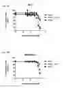 Fig. 28 - Bispecific antigen-binding constructs targeting HER2