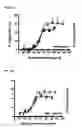 Fig. 41 - Bispecific antigen-binding constructs targeting HER2