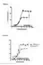 Fig. 43 - Bispecific antigen-binding constructs targeting HER2
