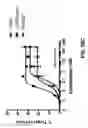 Fig. 44 - Bispecific antigen-binding constructs targeting HER2