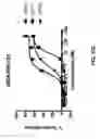 Fig. 63 - Bispecific antigen-binding constructs targeting HER2