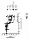 Fig. 65 - Bispecific antigen-binding constructs targeting HER2