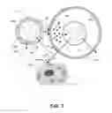 Fig. 04 - Targeted delivery methods and compositions for antihistamines