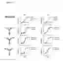 Fig. 12 - Tri-specific antibodies for HIV therapy