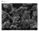 Fig. 02 - PROCESS FOR PREPARING DOUBLE METAL CYANIDE CATALYSTS AND THEIR USE IN POLYMERIZATION REACTIONS