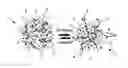 Fig. 01 - NANOGEL COMPOUND