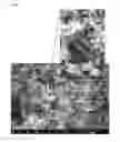 Fig. 06 - CARBON-NANOTUBE-BASED COMPOSITE COATING AND PRODUCTION METHOD THEREOF